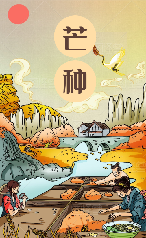 芒种 Mangzhong – det nionde solståndet