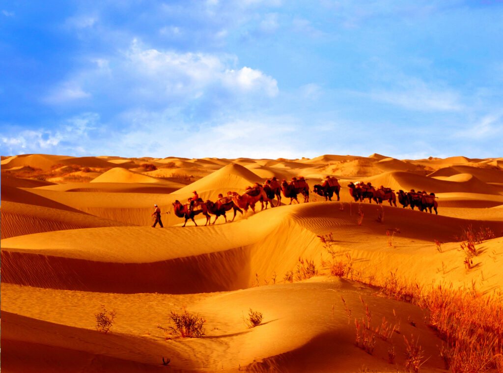 带你看新疆 | World Natural and Cultural Heritage of Xinjiang