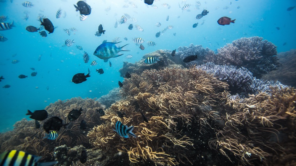 6·8 世界海洋日 一起来阳光海南 度假天堂